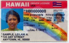 Hawaii Fake Driving License