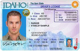 Idaho Fake Driving License