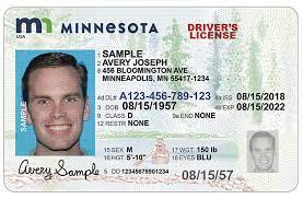 Minnesota Fake Driving License