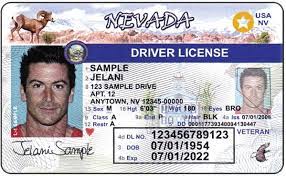Nevada Fake Driving License