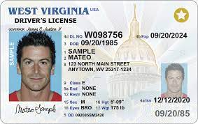 West Virginia Fake Driving License