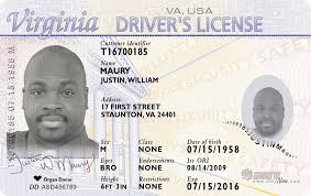 Virginia Fake Driving License