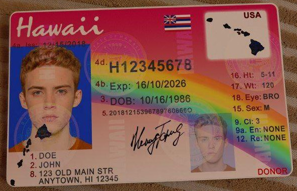 Hawaii Fake Fake Drivers license