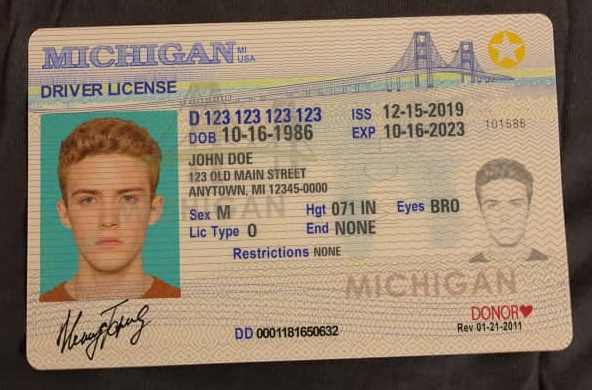 Michigan Fake Drivers License
