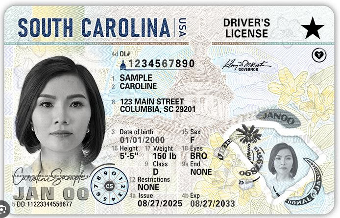 South Carolina Fake Drivers License