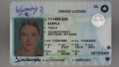 Wyoming Fake Driver's License