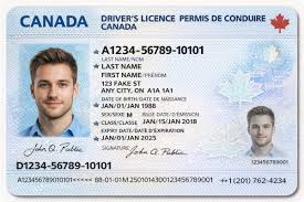 Canadian Fake Driver’s Licence