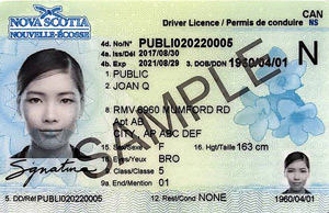Nova Scotia Fake Driver’S License