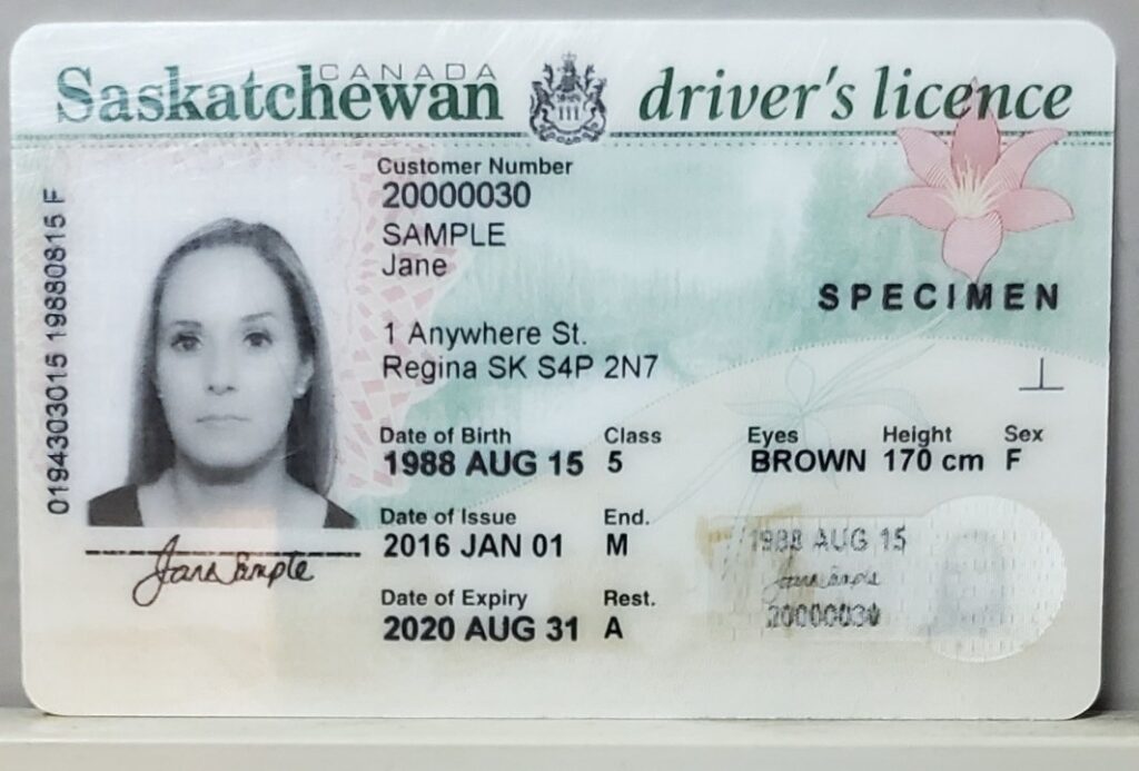 Saskatchewan Fake Driver’S License