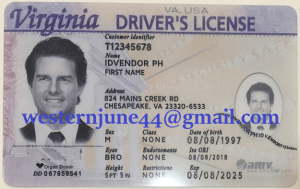 Virginia Fake Drivers License